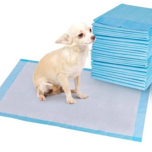 40 Traverse Assorbenti Per Cani 60x60cm Lettiera Tappetini Igienici Tappeti