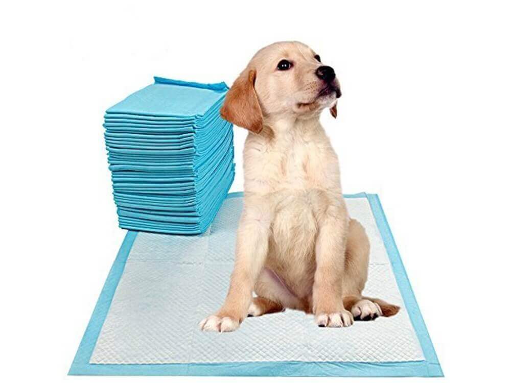 20 Traverse Assorbenti Per Cani 60x90cm Lettiera Tappetini Igienici Tappeti